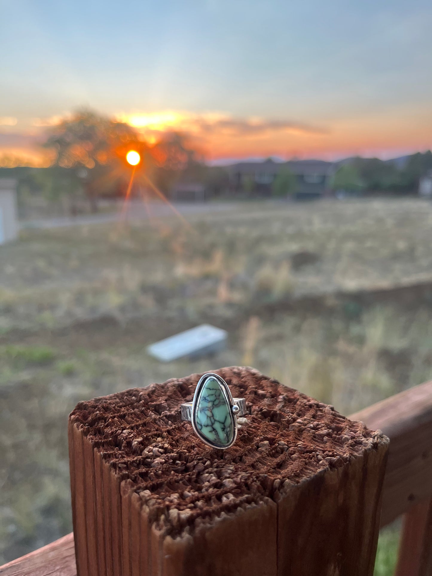 Desert Shell Ring - Nautilus Variscite