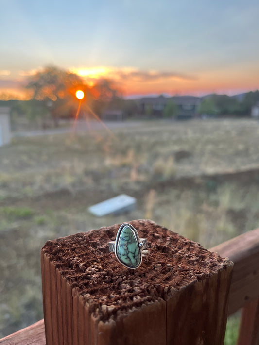 Desert Shell Ring - Nautilus Variscite