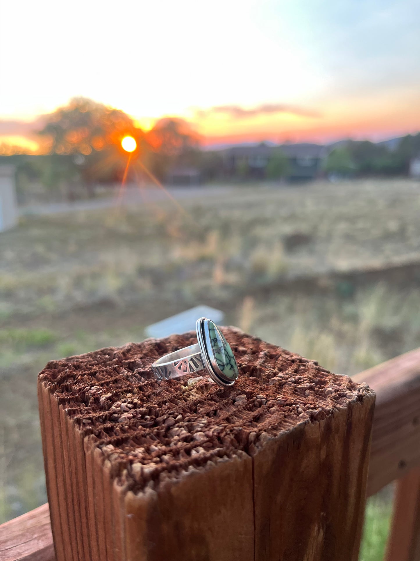 Desert Shell Ring - Nautilus Variscite