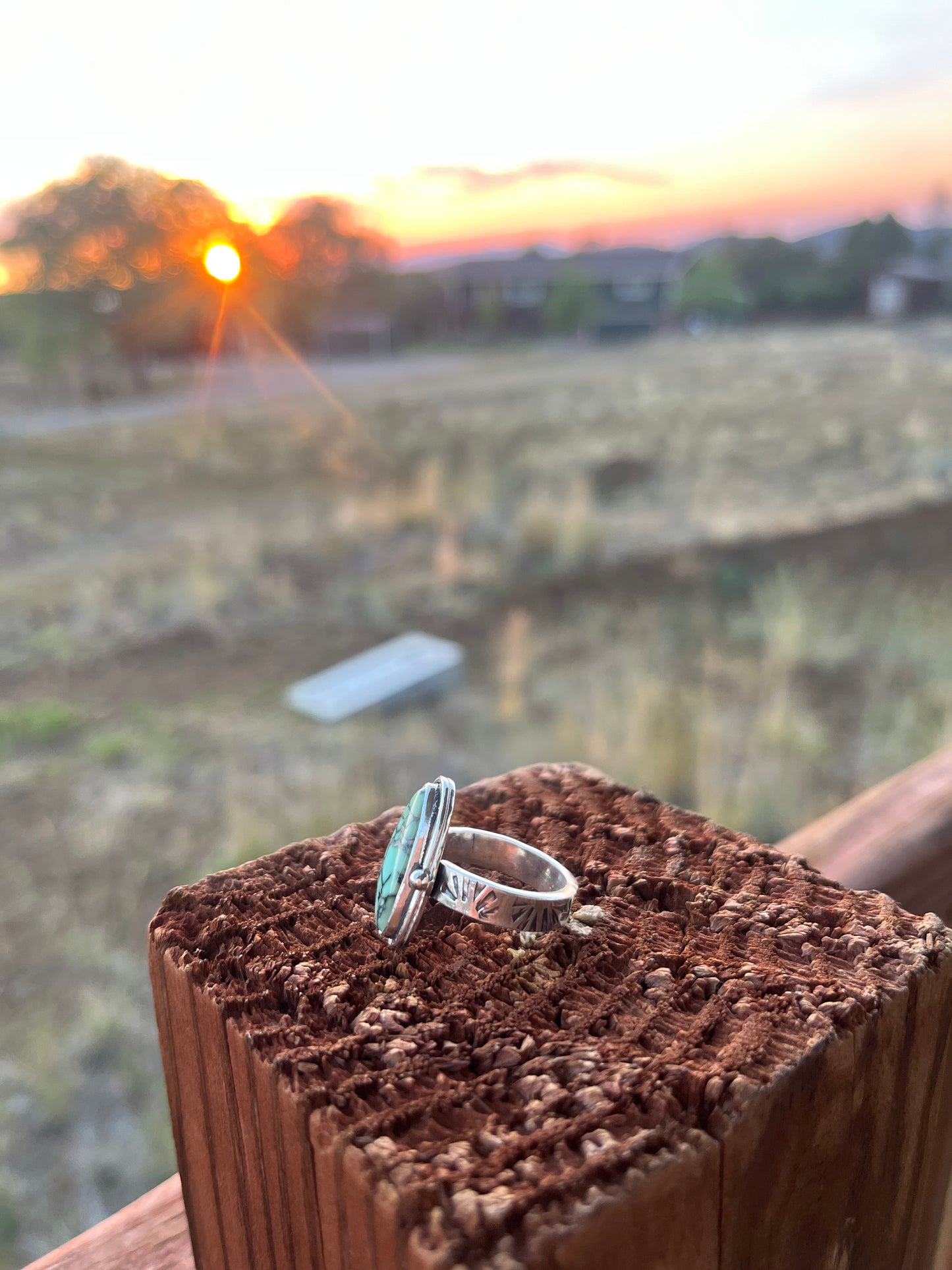 Desert Shell Ring - Nautilus Variscite