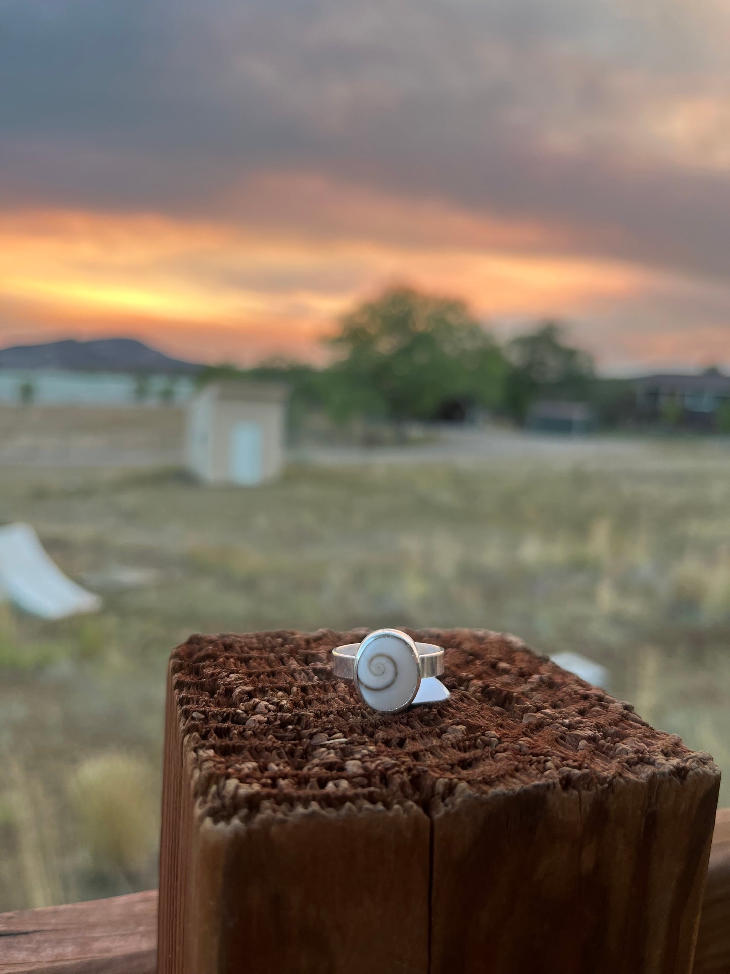 Shiva Shell Ring
