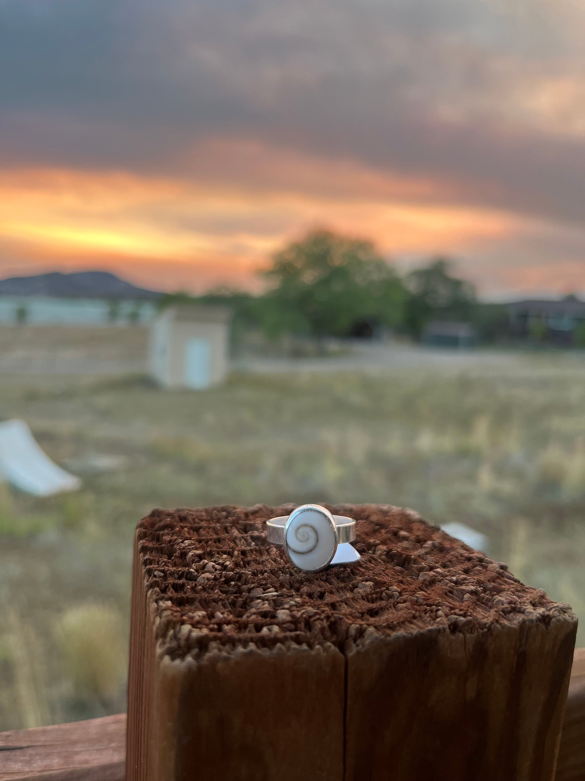 Shiva Shell Ring