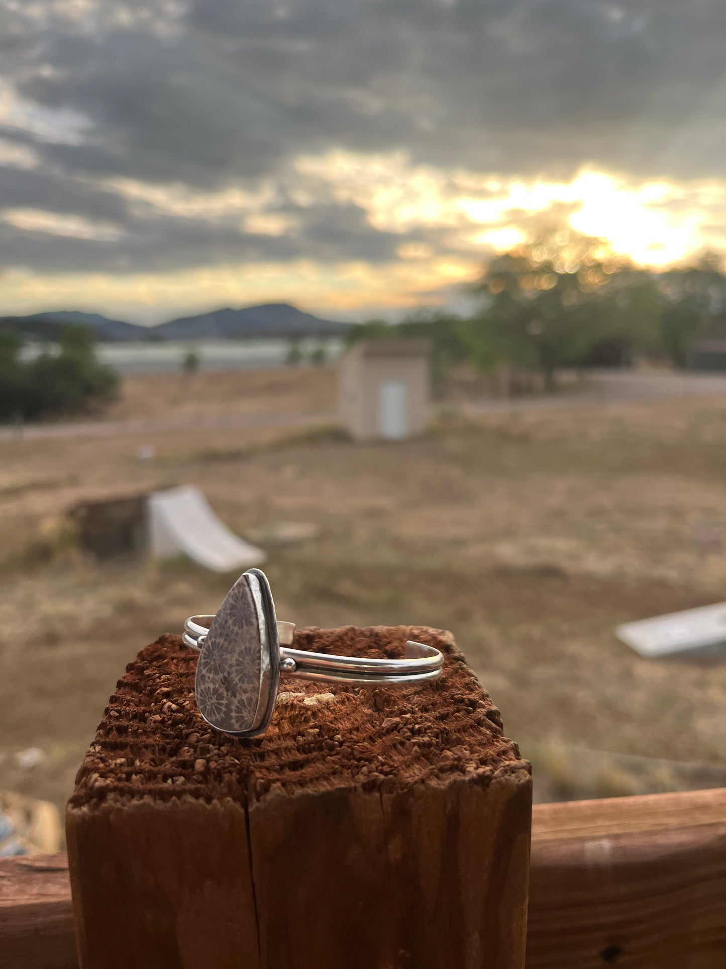 Ancient Reef - Fossilized Coral Sterling Silver Cuff
