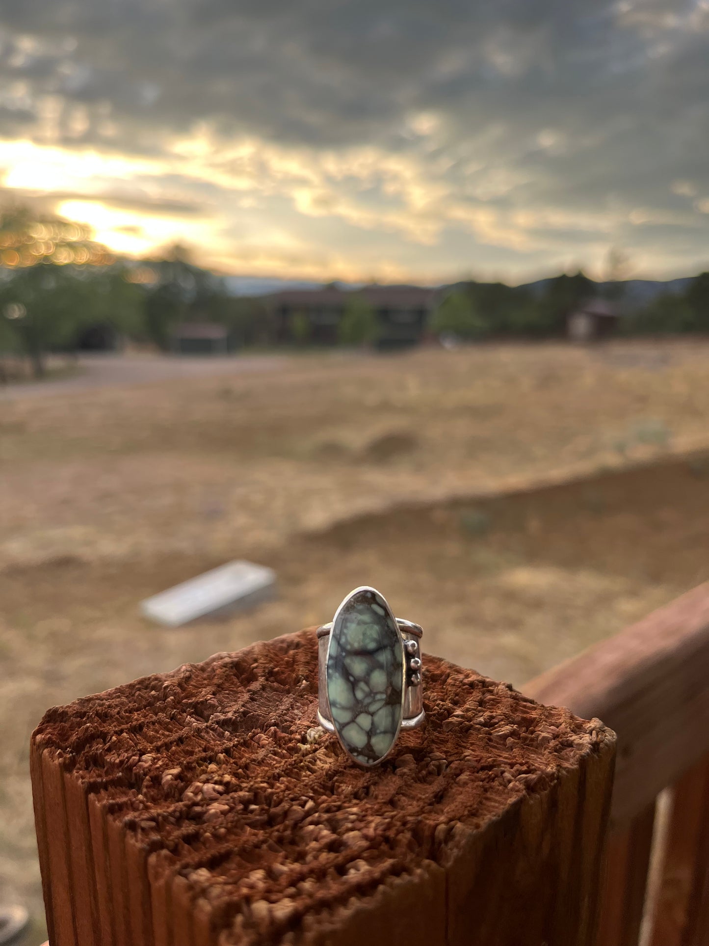 Guardian of the Deep - Variscite Sterling Silver Shark Band Ring