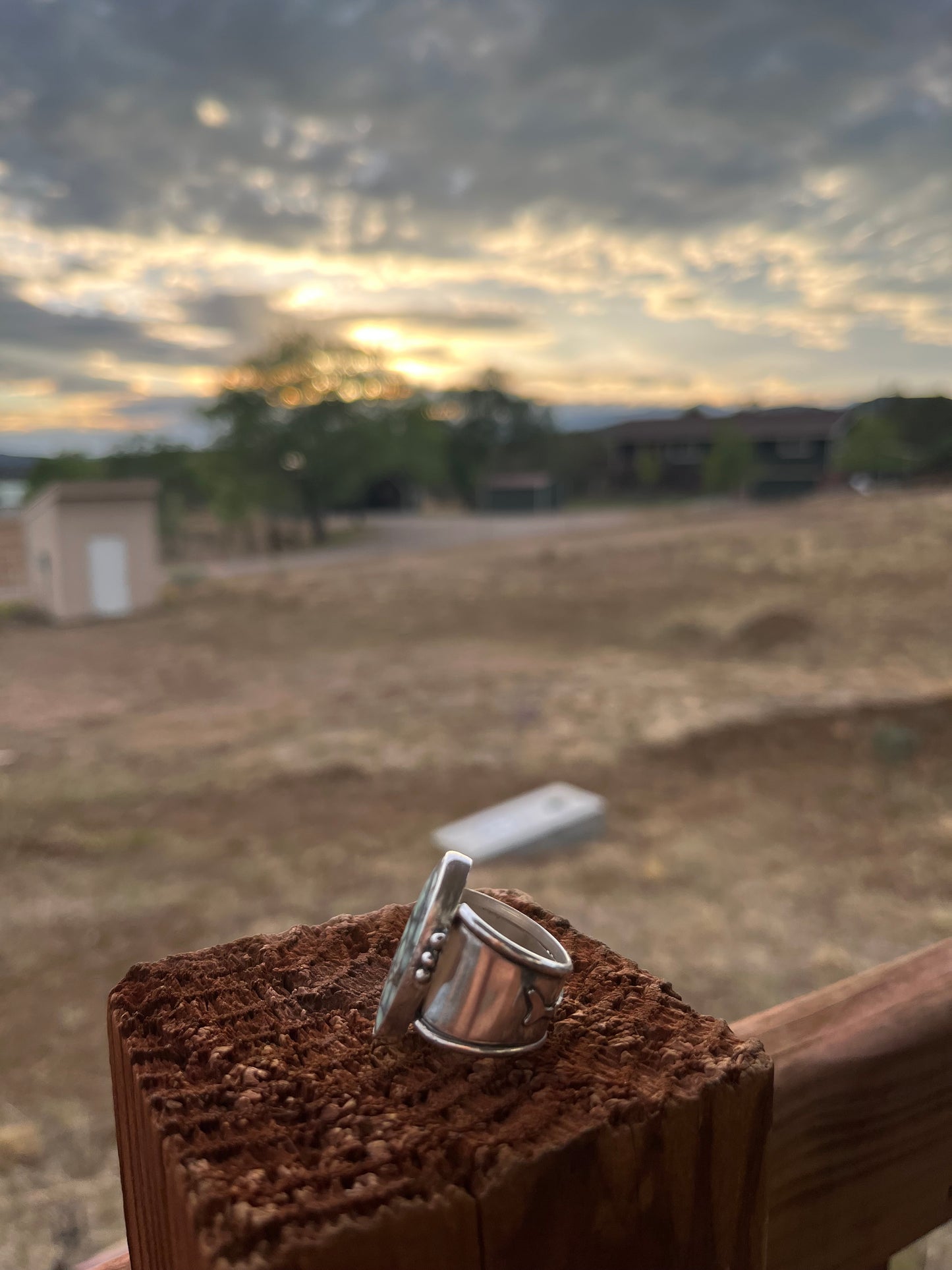 Guardian of the Deep - Variscite Sterling Silver Shark Band Ring