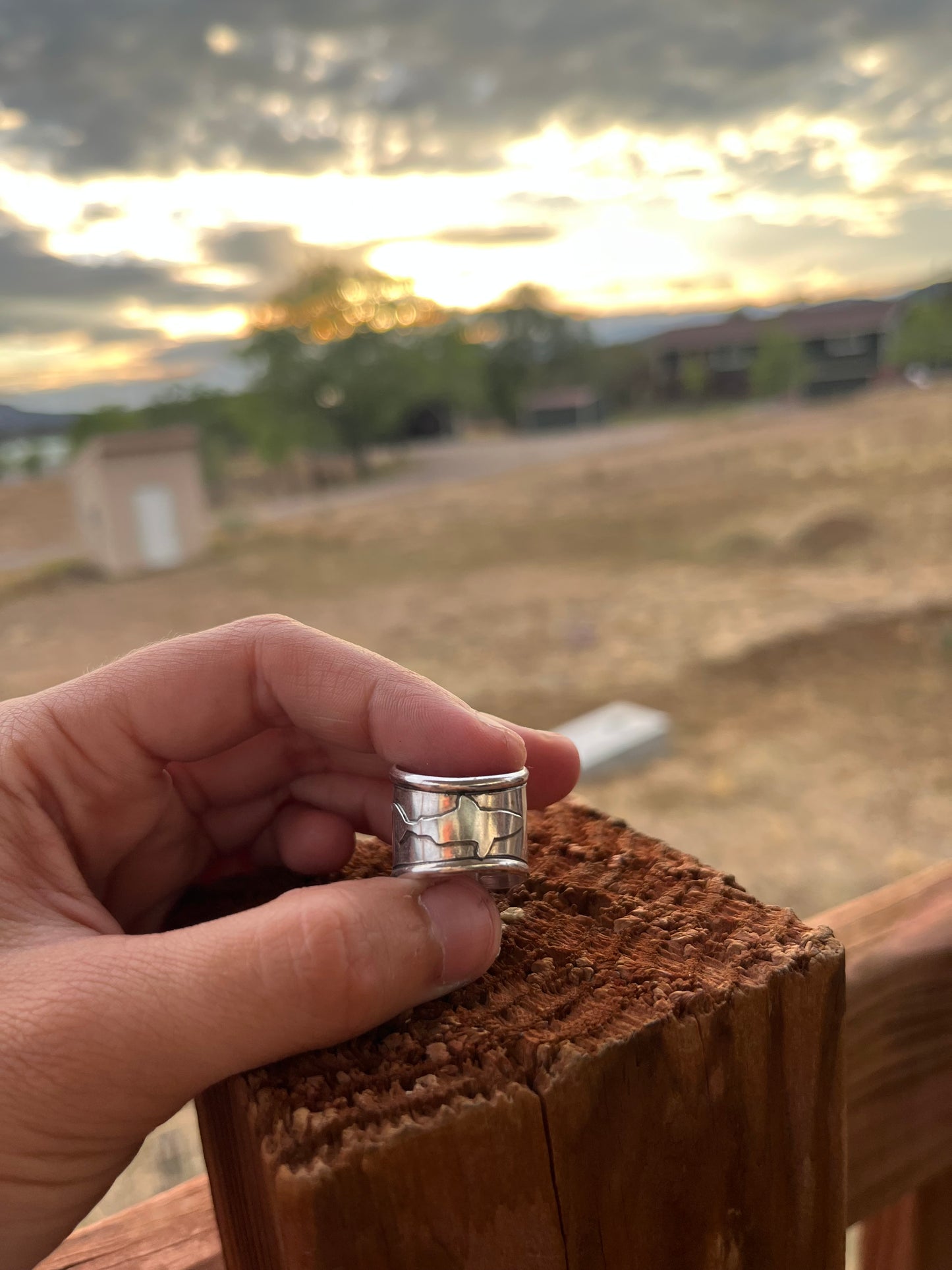 Guardian of the Deep - Variscite Sterling Silver Shark Band Ring