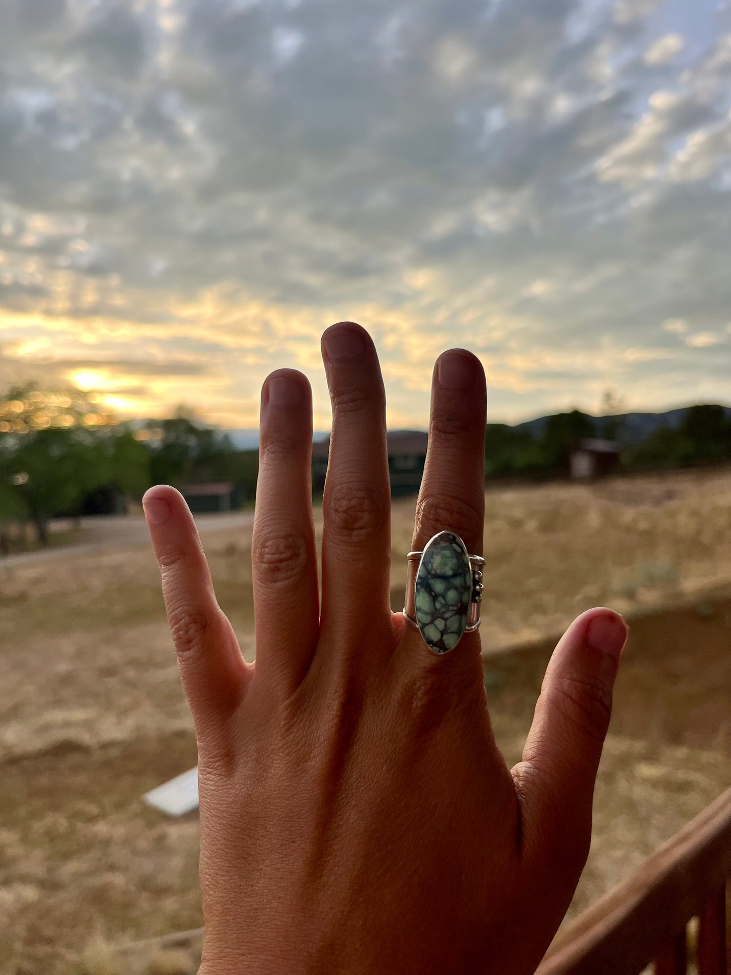 Guardian of the Deep Variscite Shark Sterling Silver Handmade Ring