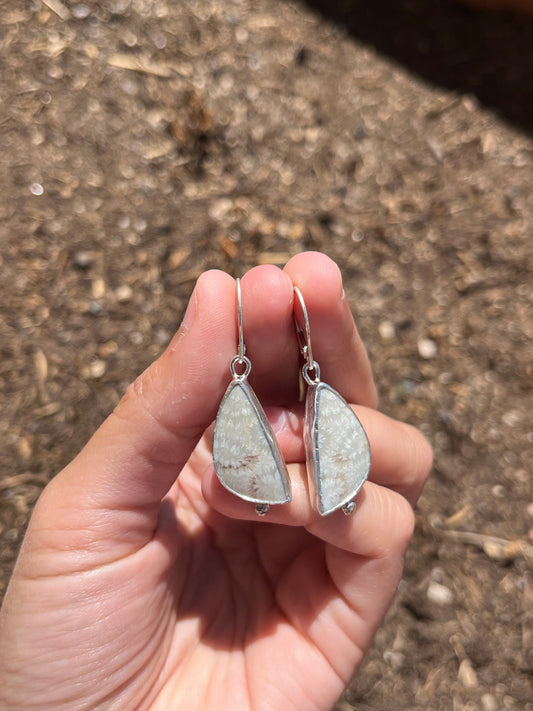 Handmade Sterling Silver Fossil Coral Earrings