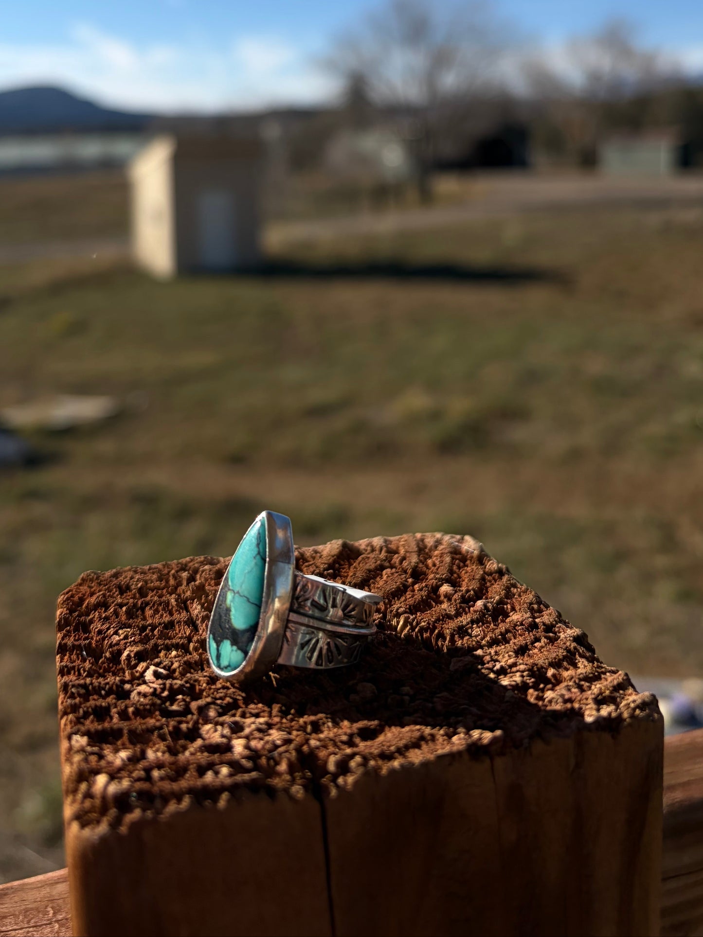 Sterling Silver Turquoise Sun Ring